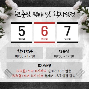 현충일 팝업